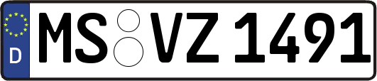 MS-VZ1491
