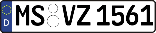 MS-VZ1561