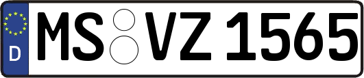 MS-VZ1565
