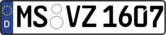 MS-VZ1607
