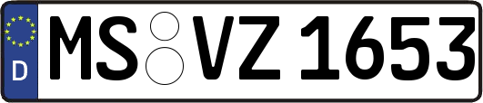 MS-VZ1653