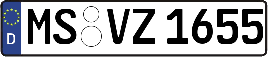 MS-VZ1655