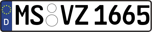 MS-VZ1665
