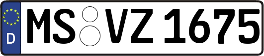 MS-VZ1675