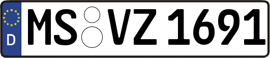 MS-VZ1691