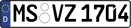 MS-VZ1704