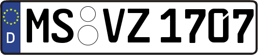 MS-VZ1707