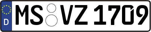 MS-VZ1709