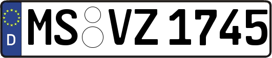 MS-VZ1745
