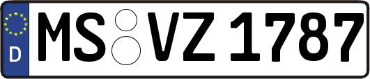 MS-VZ1787