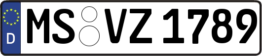 MS-VZ1789
