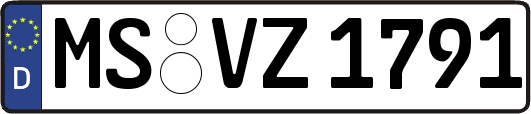 MS-VZ1791