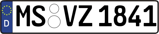 MS-VZ1841