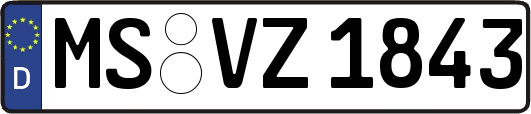 MS-VZ1843
