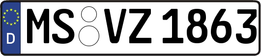 MS-VZ1863