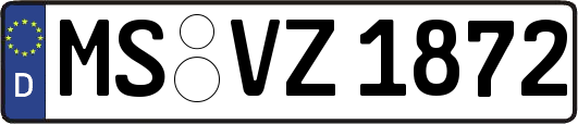 MS-VZ1872