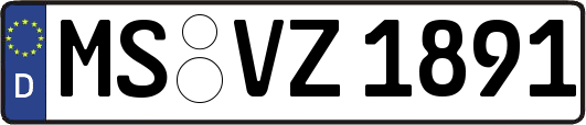 MS-VZ1891
