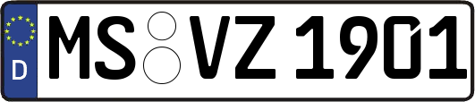MS-VZ1901