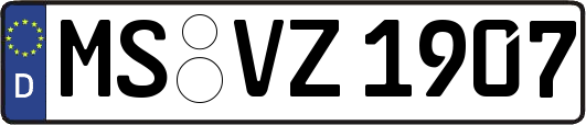 MS-VZ1907