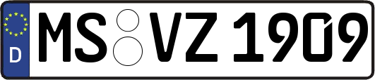 MS-VZ1909