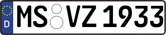 MS-VZ1933