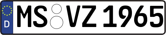 MS-VZ1965