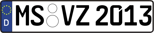 MS-VZ2013
