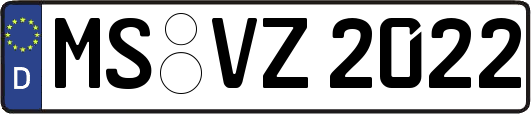 MS-VZ2022