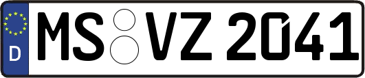 MS-VZ2041
