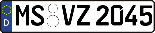 MS-VZ2045
