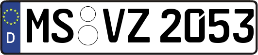 MS-VZ2053