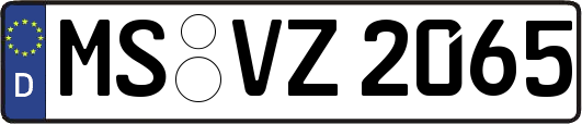MS-VZ2065