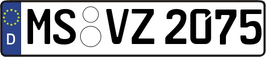 MS-VZ2075