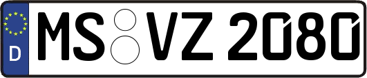 MS-VZ2080