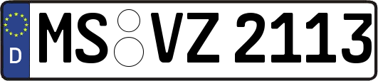 MS-VZ2113