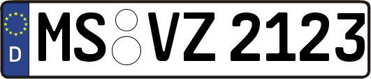 MS-VZ2123