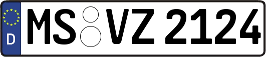 MS-VZ2124