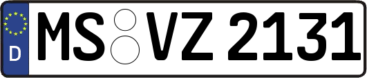 MS-VZ2131