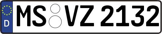 MS-VZ2132
