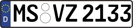 MS-VZ2133