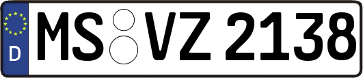 MS-VZ2138