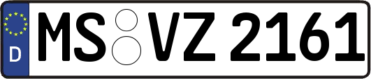 MS-VZ2161