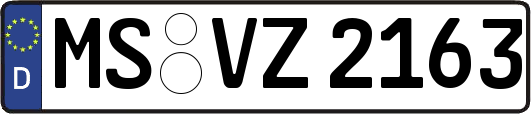 MS-VZ2163