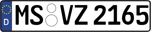 MS-VZ2165