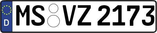 MS-VZ2173
