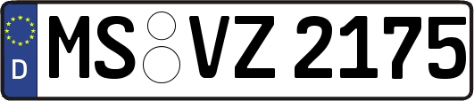 MS-VZ2175