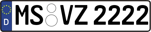 MS-VZ2222