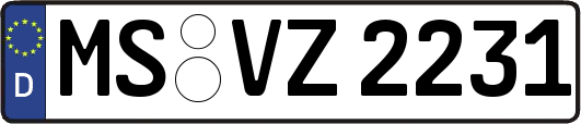 MS-VZ2231