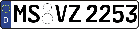 MS-VZ2253