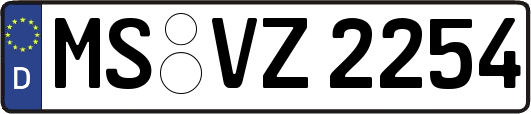 MS-VZ2254